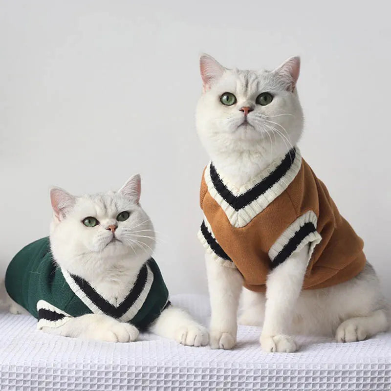 Katzen Pullover, Kleidung und Kostüme
